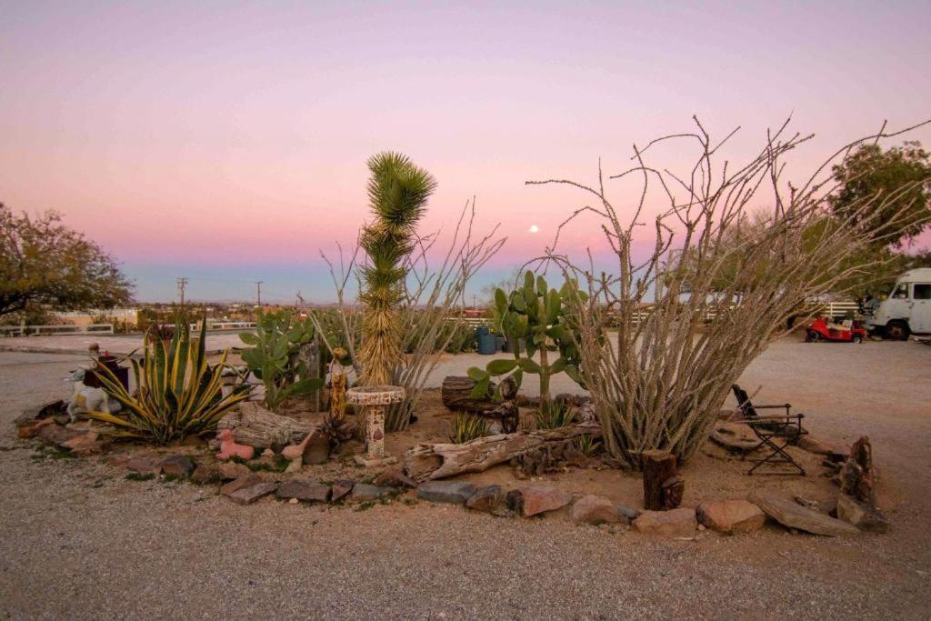 Joshua Tree Ranch House Motel - Downtown - Room #3 المظهر الخارجي الصورة